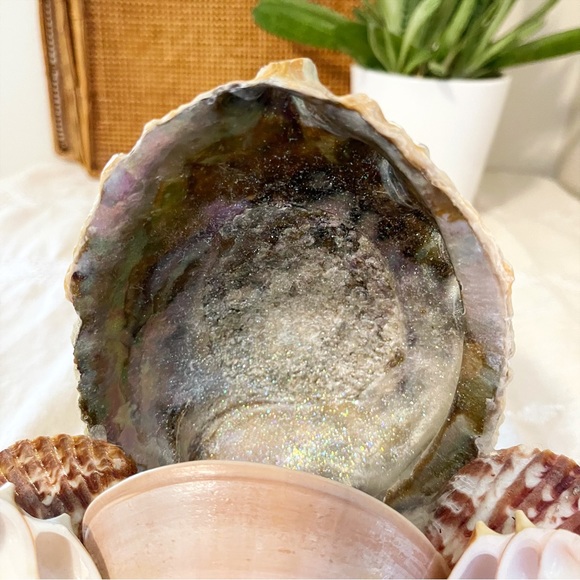 VTG | Retro 1950s MCM Abalone Shell Art Sculpture - Picture 4 of 16
